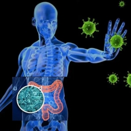 肠道菌群变化对自身免疫性疾病的影响